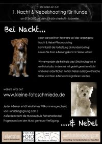 nacht_nebel_klein