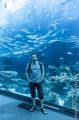Aquarium, Dubai Mall