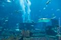 Atlantis, Lost Chambers