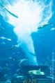 Atlantis, Lost Chambers