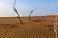Dubai_2012_376