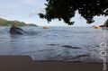 Seychellen_2012_091