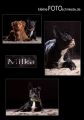Milka_Collage