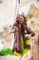 Toskana_2012_09_037