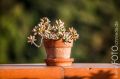Toskana_2012_09_049