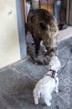 Toskana_2012_09_058