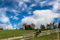 Toskana_2012_09_222