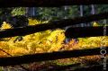 Toskana_2012_09_244