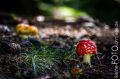 Toskana_2012_09_259