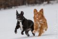 Miro_Milka_Schnee_2013_01-005