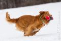 Miro_Milka_Schnee_2013_01-018