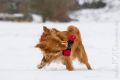 Miro_Milka_Schnee_2013_01-038