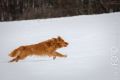 Miro_Milka_Schnee_2013_01-051