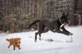 Miro_Milka_Schnee_2013_01-098