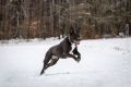Miro_Milka_Schnee_2013_01-101