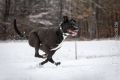 Miro_Milka_Schnee_2013_01-103