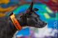 Graffiti_2013_01_13-008-271