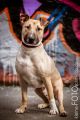 Graffiti_2013_01_13-057-270