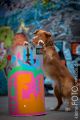 Graffiti_2013_01_13-076