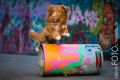 Graffiti_2013_01_13-084-246