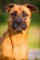 Riva_2013_07-012