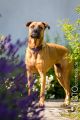 Riva_2013_07-015
