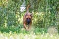 Riva_2013_07-047