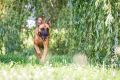 Riva_2013_07-049