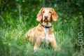 Wassershooting_Bo_2013_07-004