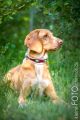 Wassershooting_Bo_2013_07-005