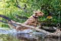 Wassershooting_Bo_2013_07-014