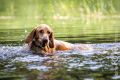 Wassershooting_Bo_2013_07-018