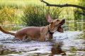 Wassershooting_Bo_2013_07-021