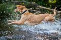 Wassershooting_Bo_2013_07-023