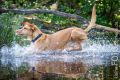 Wassershooting_Bo_2013_07-029