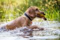 Wassershooting_Bo_2013_07-037
