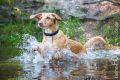 Wassershooting_Bo_2013_07-038