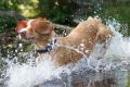 Wassershooting_Bo_2013_07-041