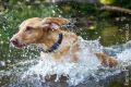 Wassershooting_Bo_2013_07-043