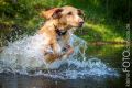 Wassershooting_Bo_2013_07-051