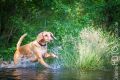 Wassershooting_Bo_2013_07-060