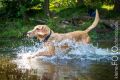 Wassershooting_Bo_2013_07-074