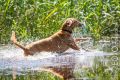 Wassershooting_Bo_2013_07-080