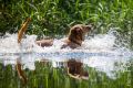 Wassershooting_Bo_2013_07-090