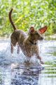 Wassershooting_Bo_2013_07-101