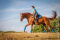 Guthy_2013_08-070