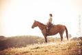 Guthy_2013_08-093