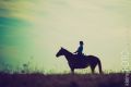 Guthy_2013_08-095