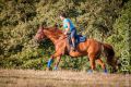 Guthy_2013_08-112