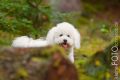 Timba_2013_08-004
